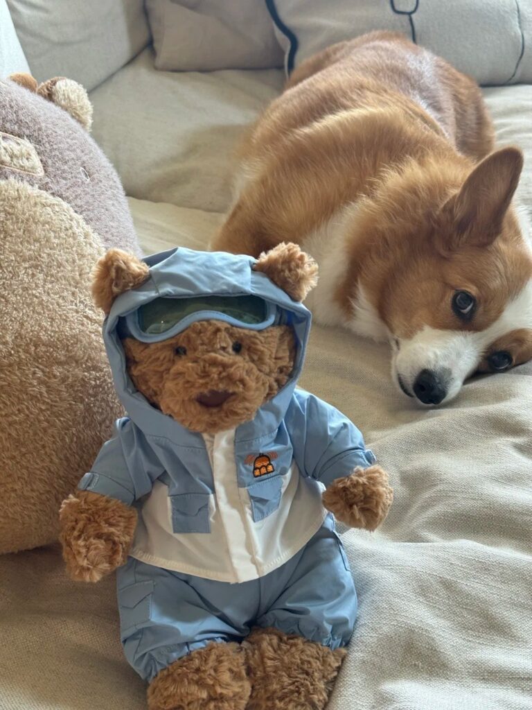 Image #1 from Vicky Davies