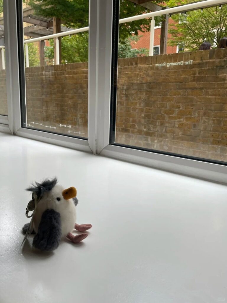 Image #1 from Nicola Rogers