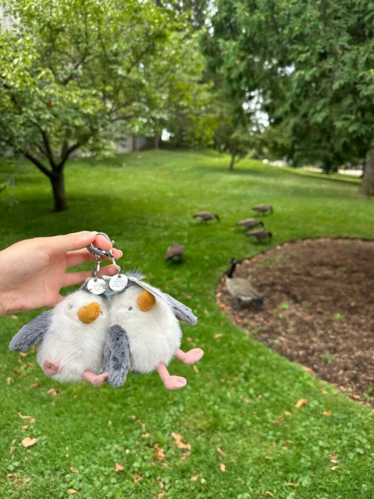 Image #1 from Rachel Davies