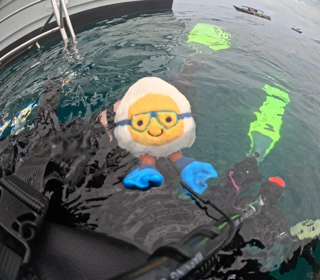 Image #1 from Diane Miller