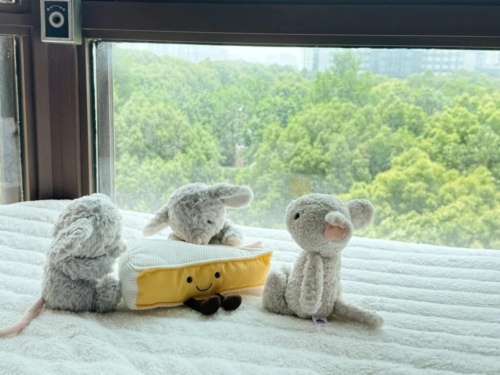 Image #1 from Danielle Adams