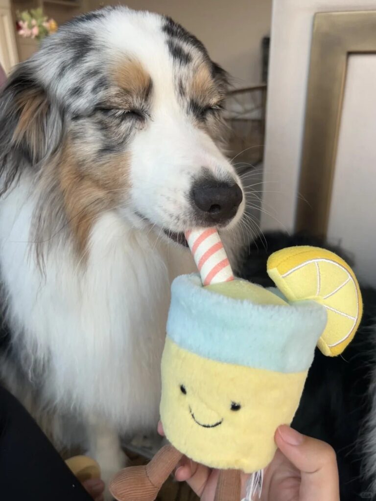 Image #1 from Cheryl Scott