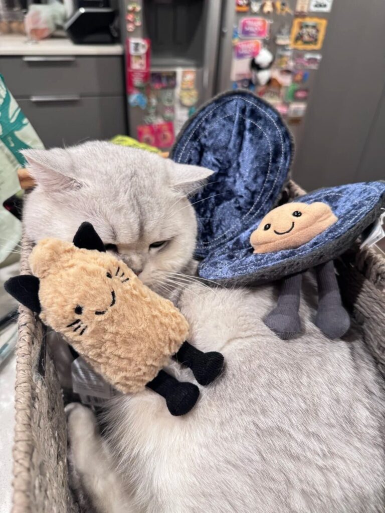 Image #1 from Helen Thompson