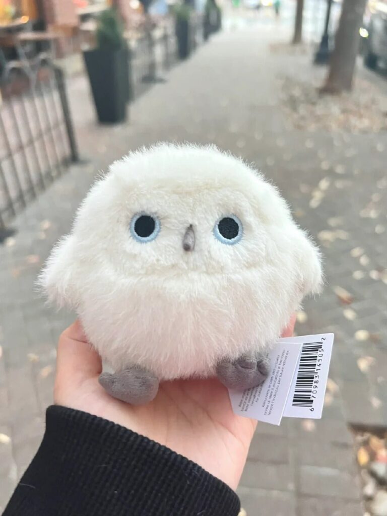 Image #1 from Diane Gray