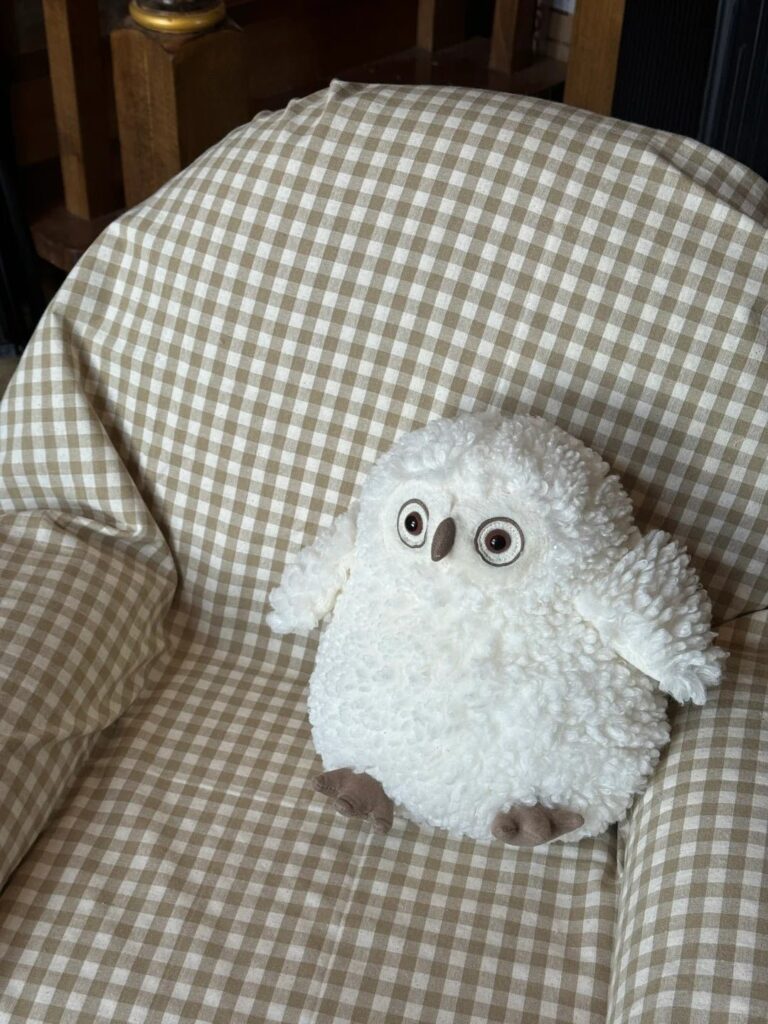 Image #1 from Sofia Santos