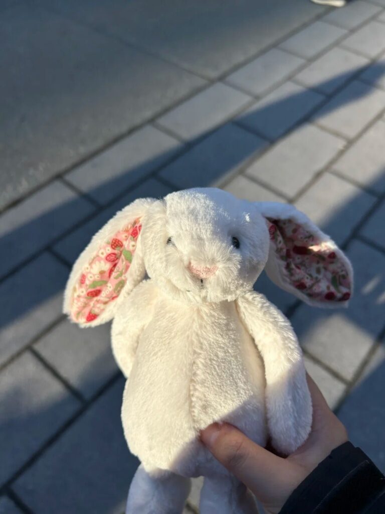 Image #1 from Elaine Morris