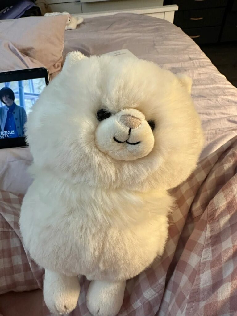 Image #1 from Carla Costa