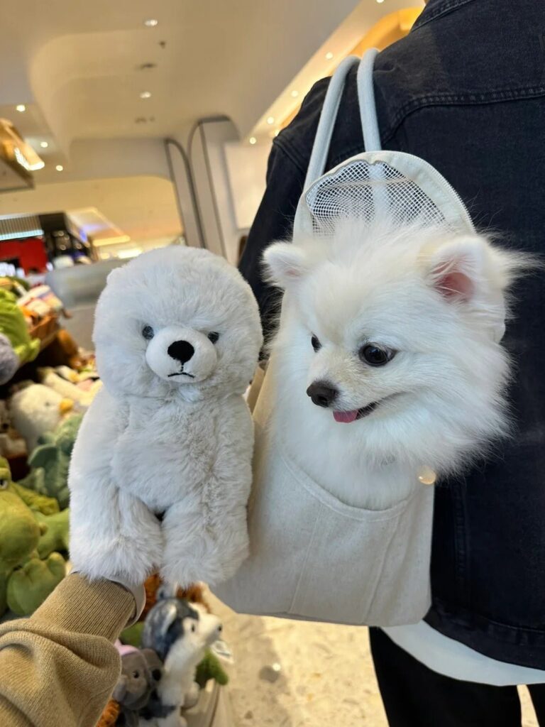 Image #1 from Nicola Bennett