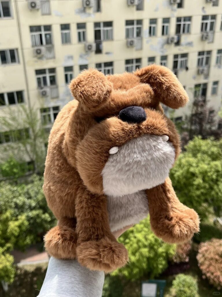 Image #1 from Donna Howard