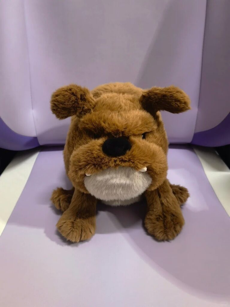 Image #1 from Madison Nelson