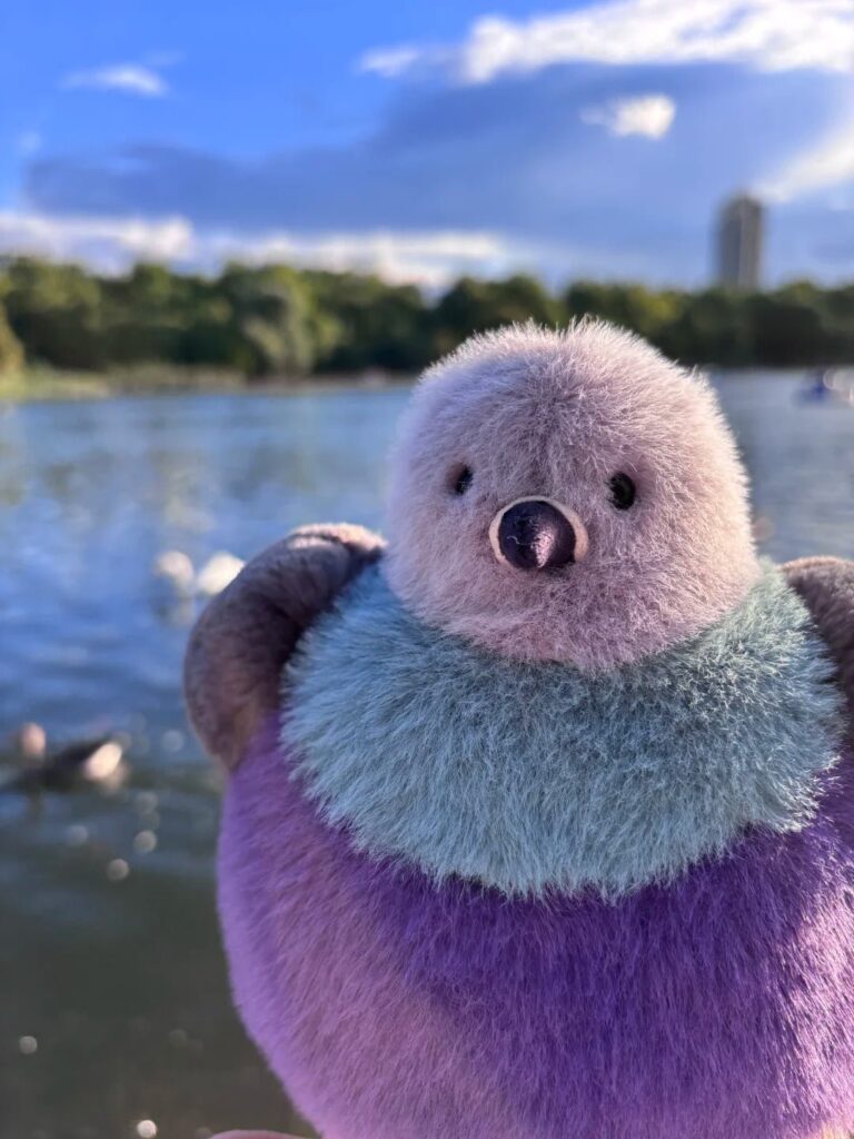 Image #1 from Lucia Mahmoud