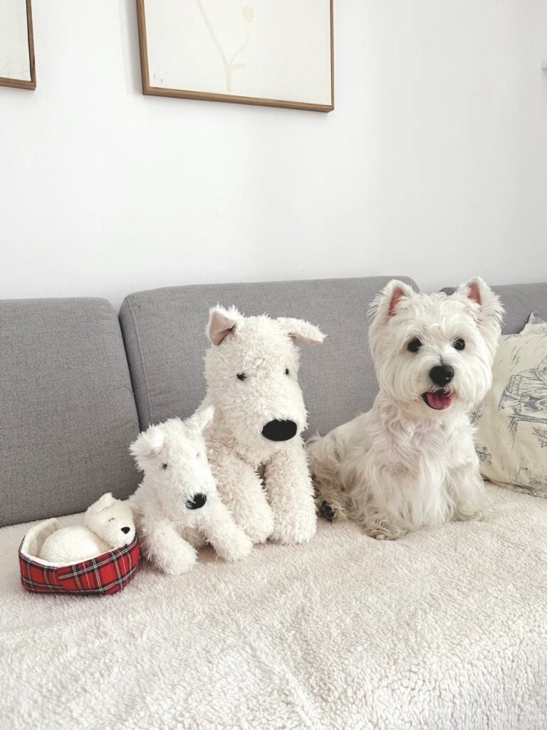 Image #1 from Catherine Carter