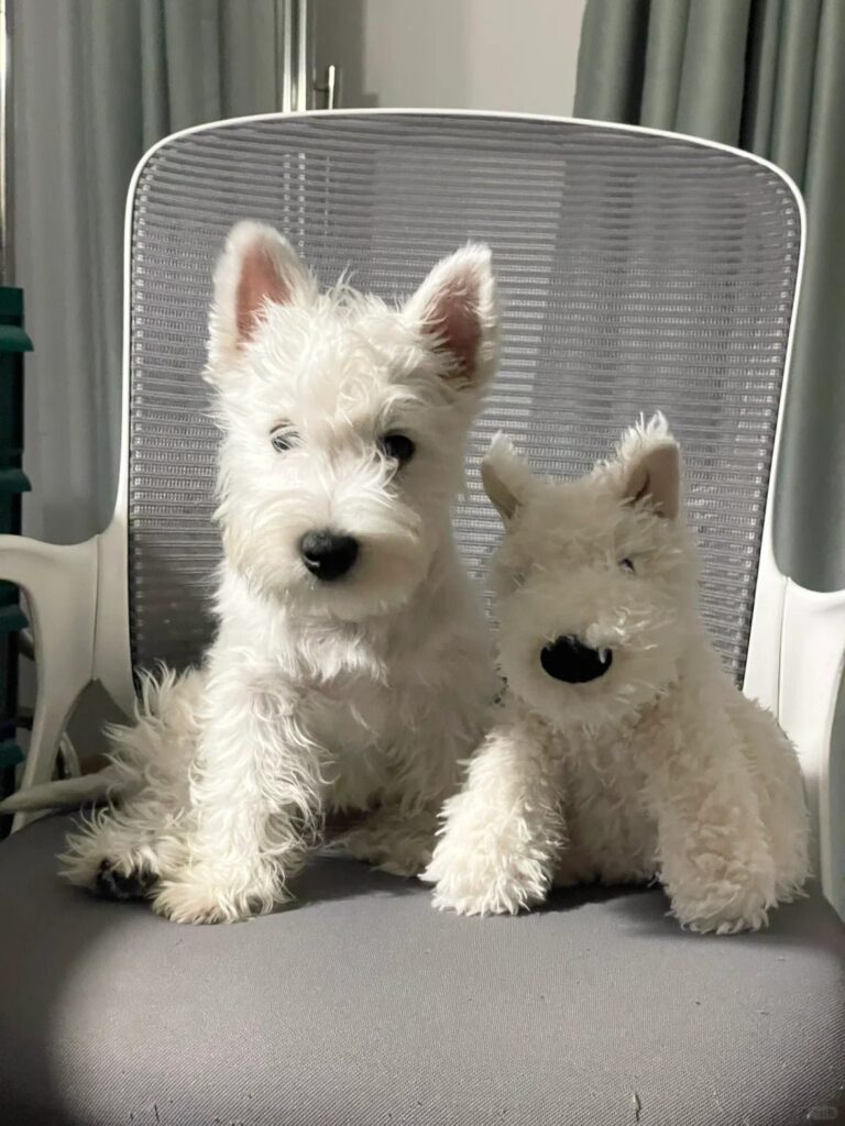 Image #1 from Carla Costa