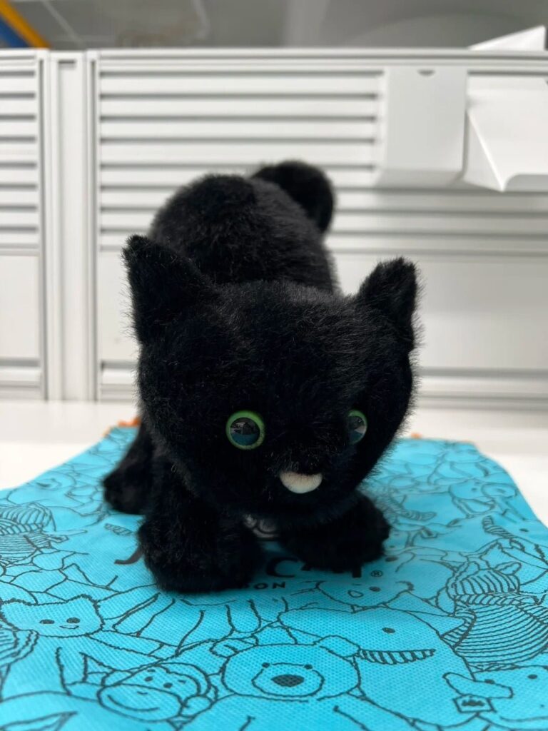 Image #1 from Elsa Greco