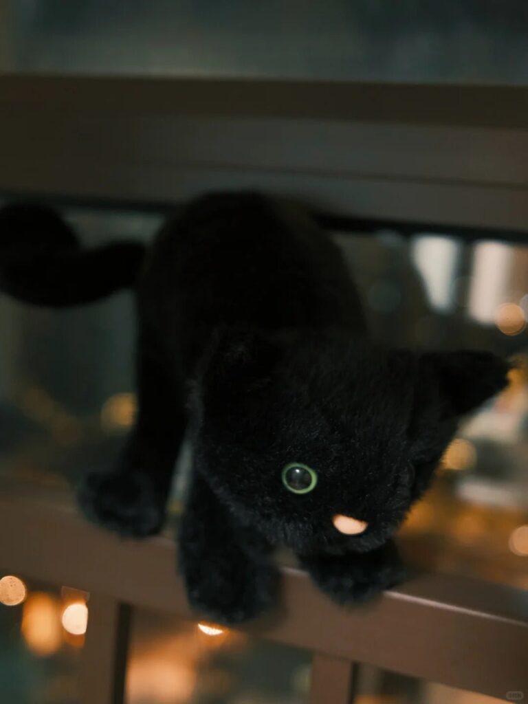 Image #1 from Julie Jones