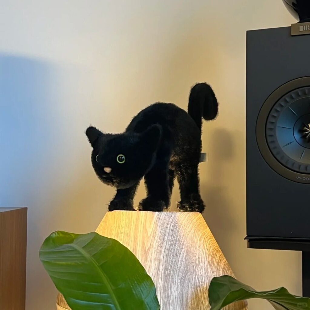 Image #1 from Isabelle Meyer