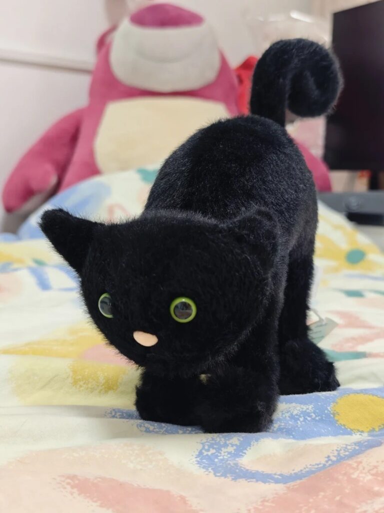 Image #1 from Helen Turner