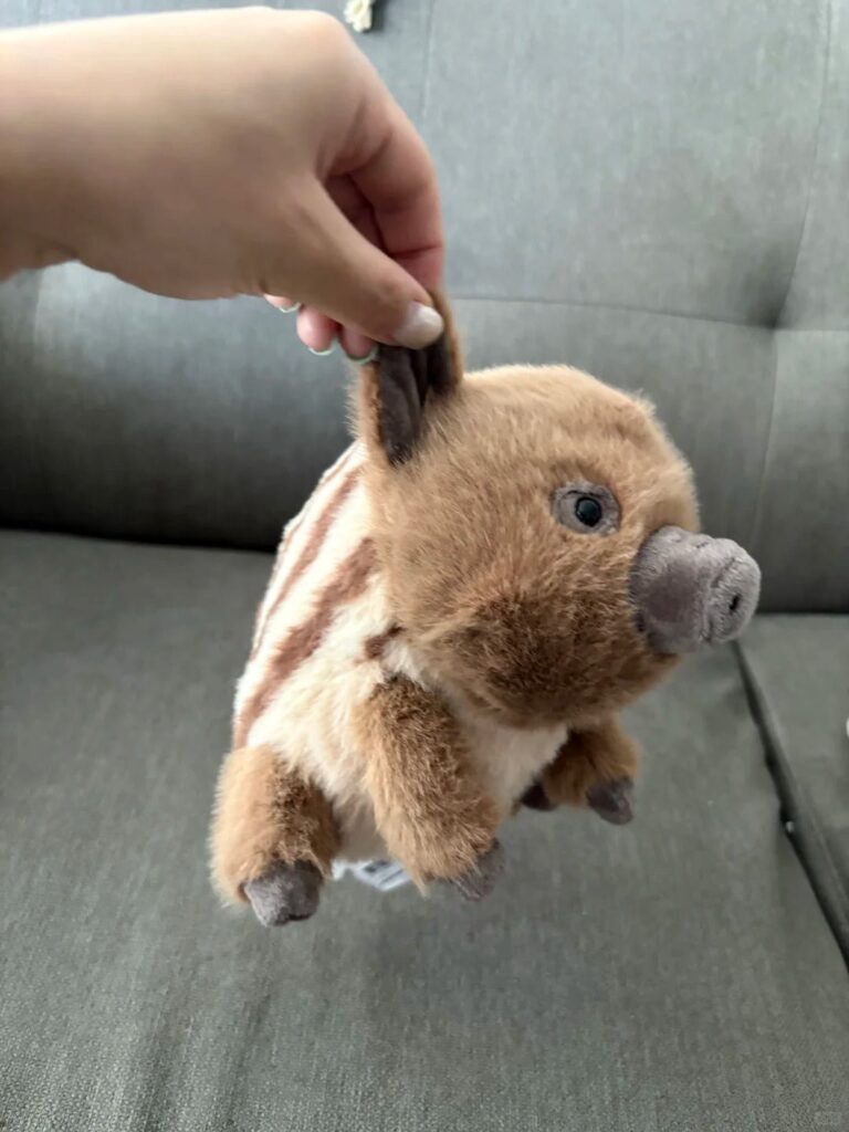 Image #1 from Lindsey Hughes