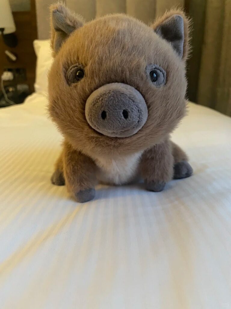 Image #1 from Sonia Scott