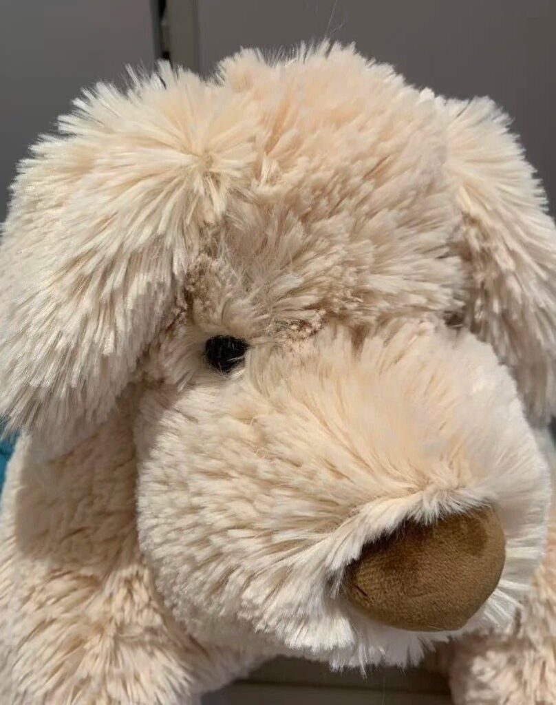 Image #1 from Courtney Ward