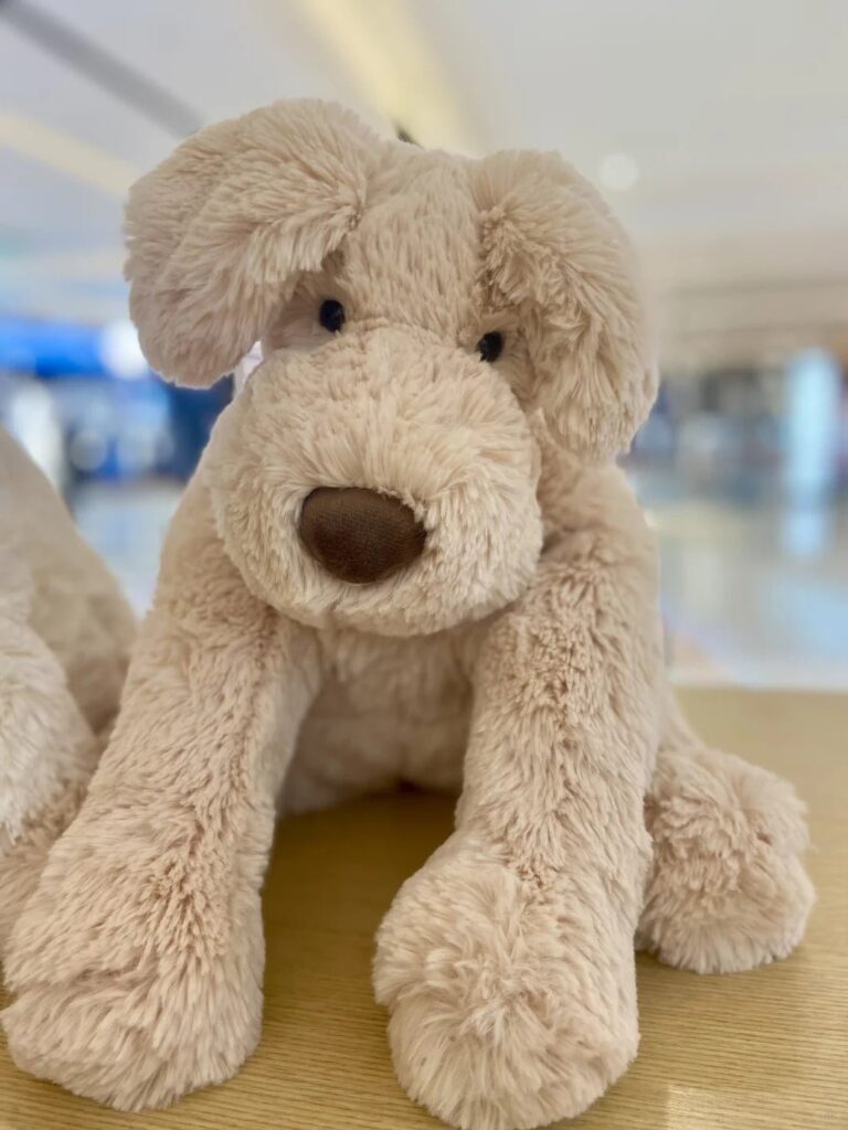 Image #1 from Claire James