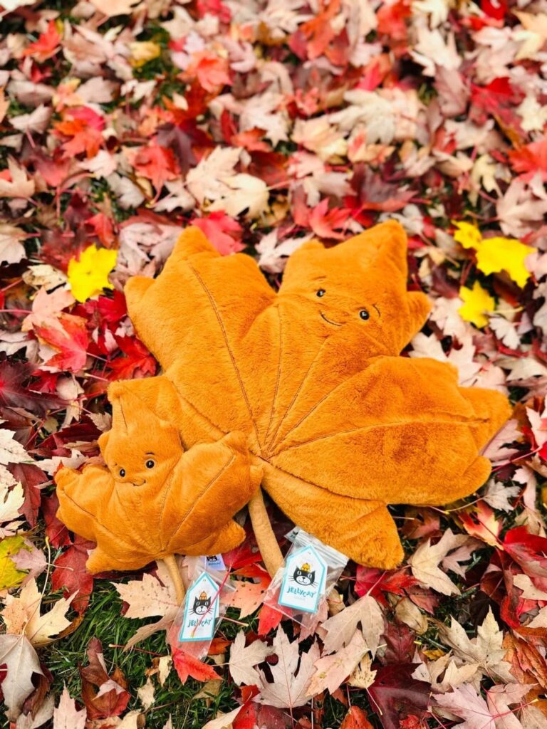 Image #1 from Helen Turner