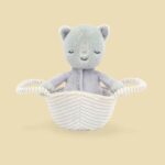 Rock - a - Bye Kitten